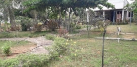 rasigardens5