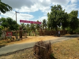 rasigardens2