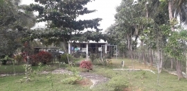 Rasi Gardens - Gated community plots are available